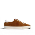 Capital - Cinnamon Brown