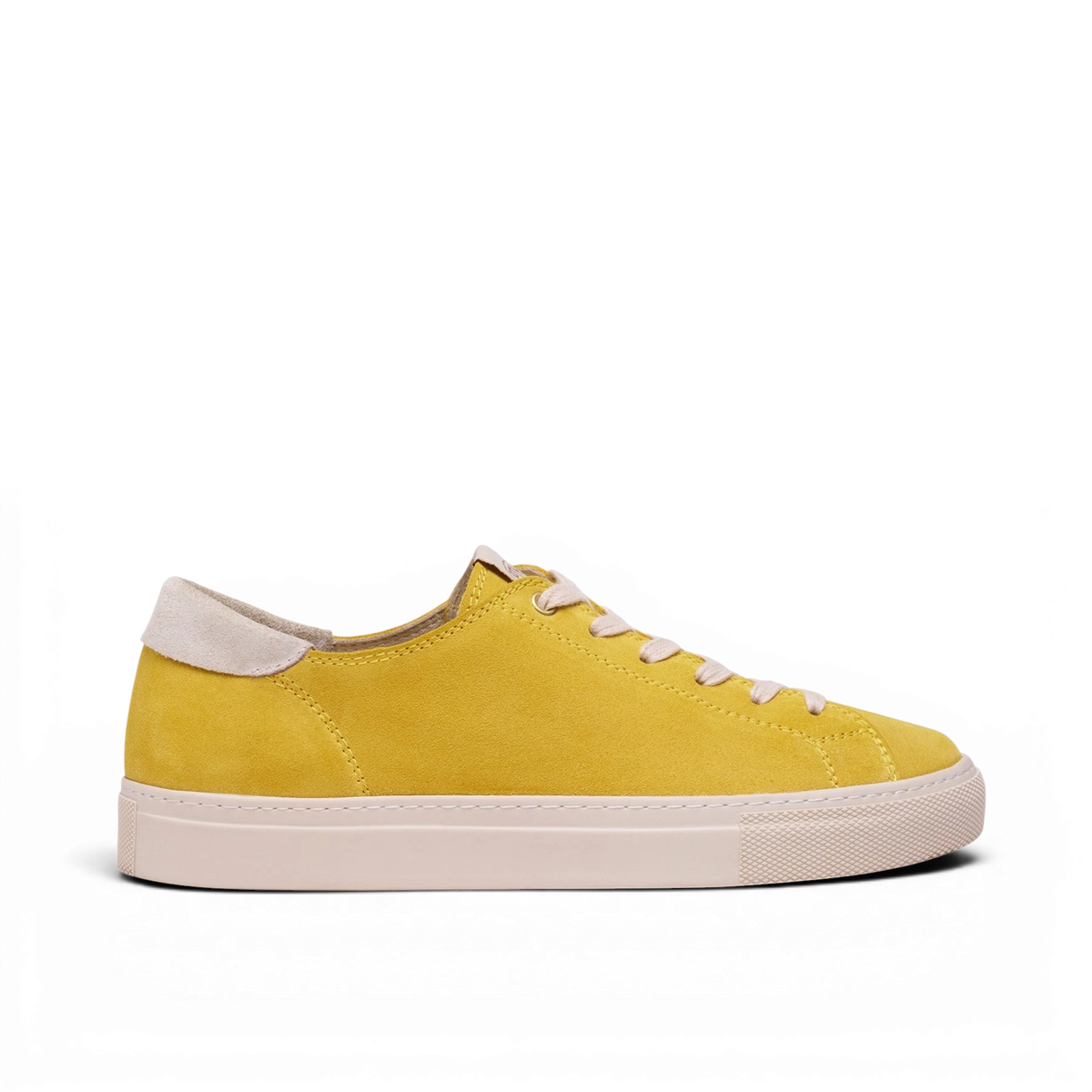 Capital - Dandelion Yellow