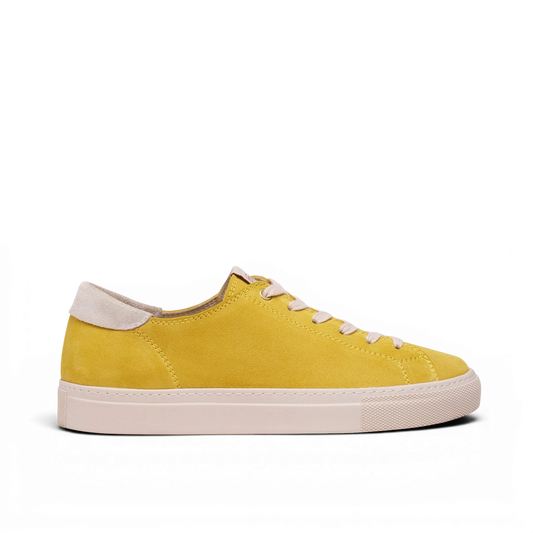 Capital - Dandelion Yellow