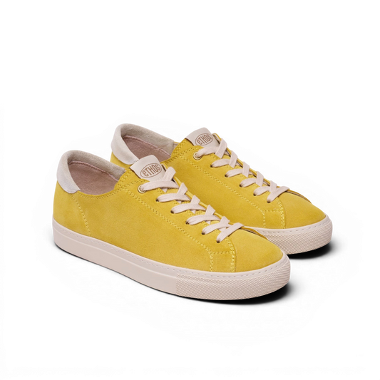 Capital - Dandelion Yellow