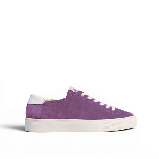 CAPITAL - AMETHYST